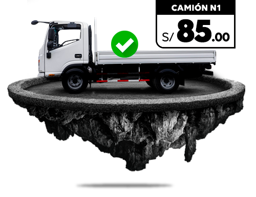 CAMION-N1
